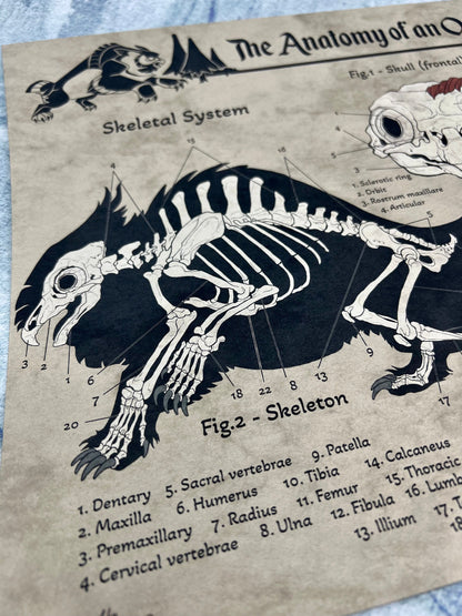 Anatomy of an Owlbear Poster | Owlbear Art | Anatomy Chart | FREE SHIPPING