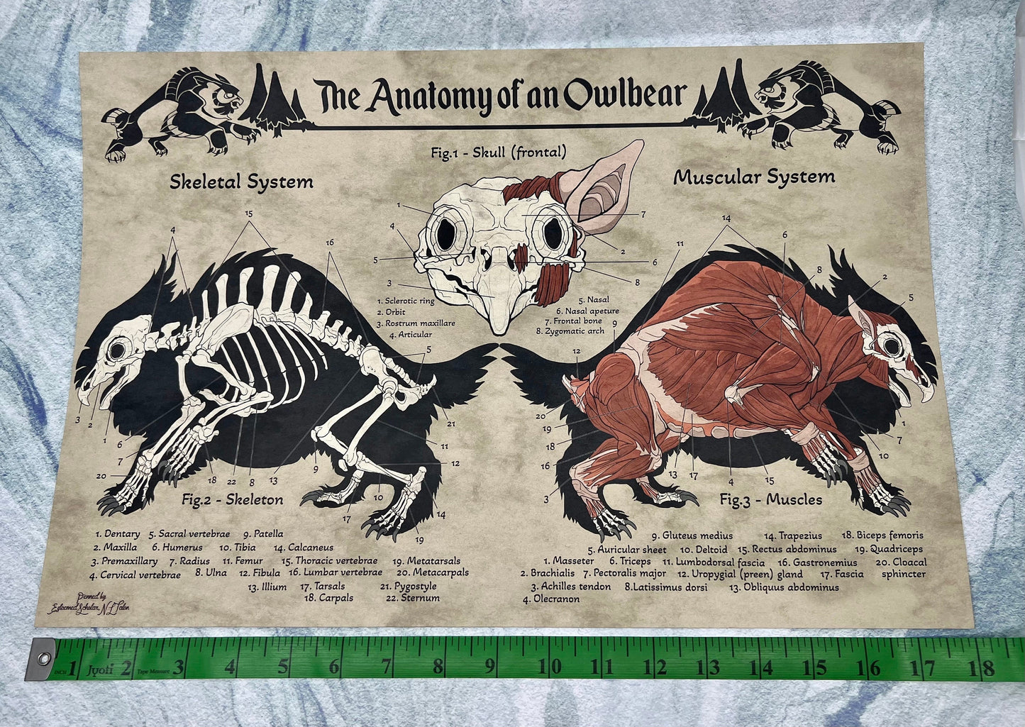 Anatomy of an Owlbear Poster | Owlbear Art | Anatomy Chart | FREE SHIPPING