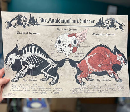 Anatomy of an Owlbear Poster | Owlbear Art | Anatomy Chart | FREE SHIPPING